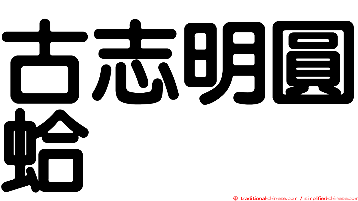 古志明圓蛤