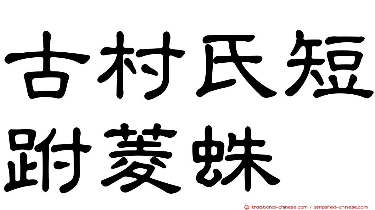 古村氏短跗菱蛛