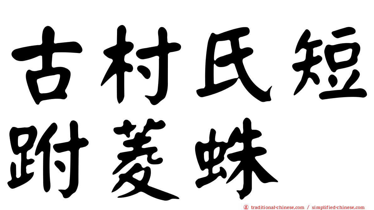古村氏短跗菱蛛