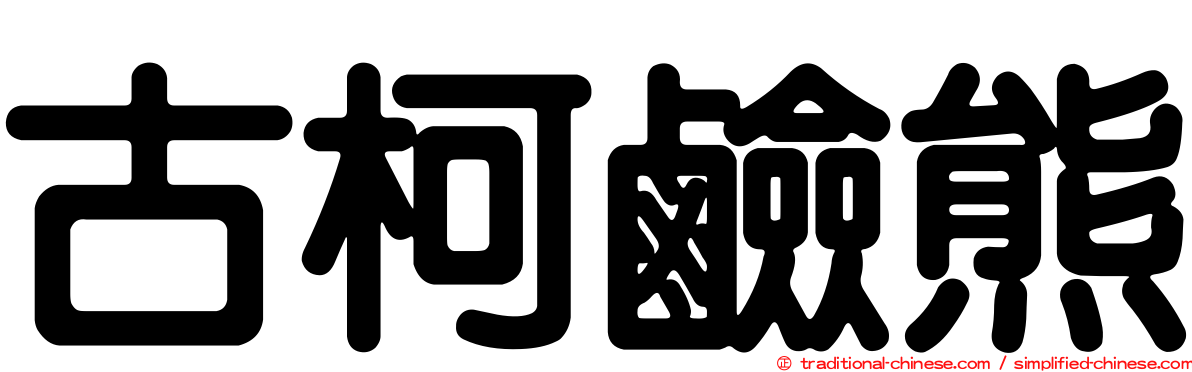 古柯鹼熊