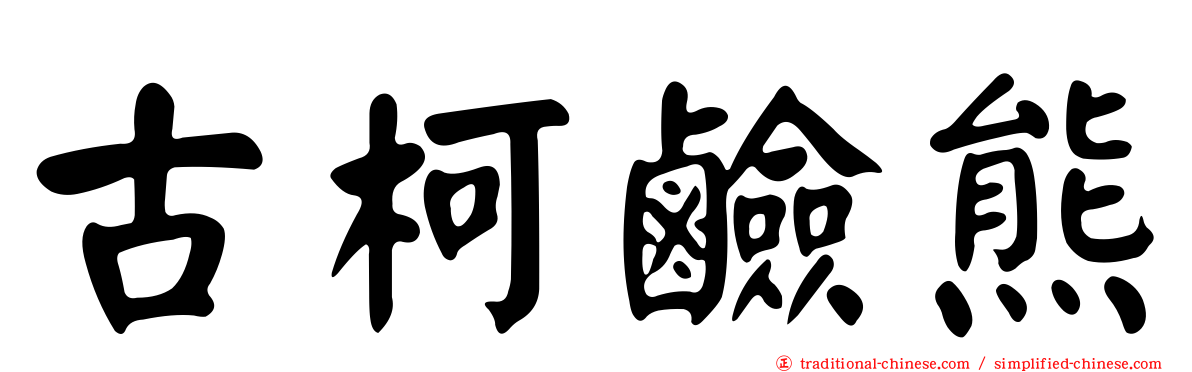 古柯鹼熊
