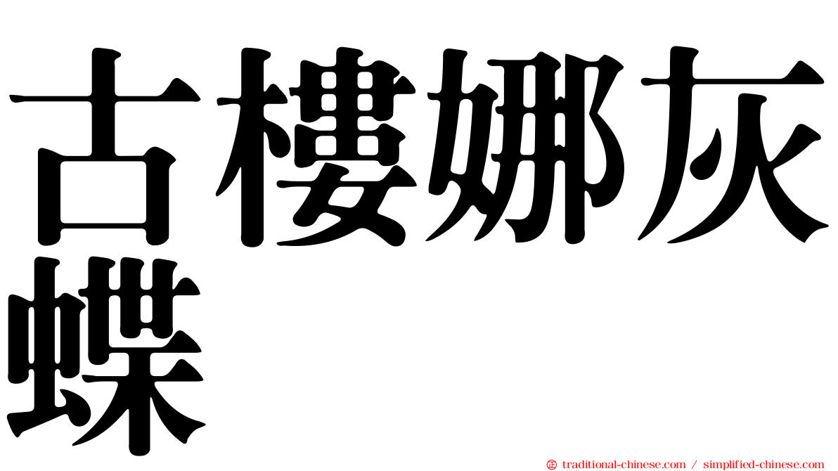 古樓娜灰蝶