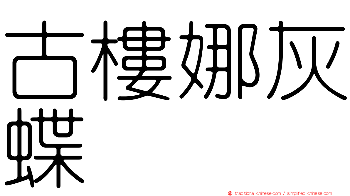 古樓娜灰蝶