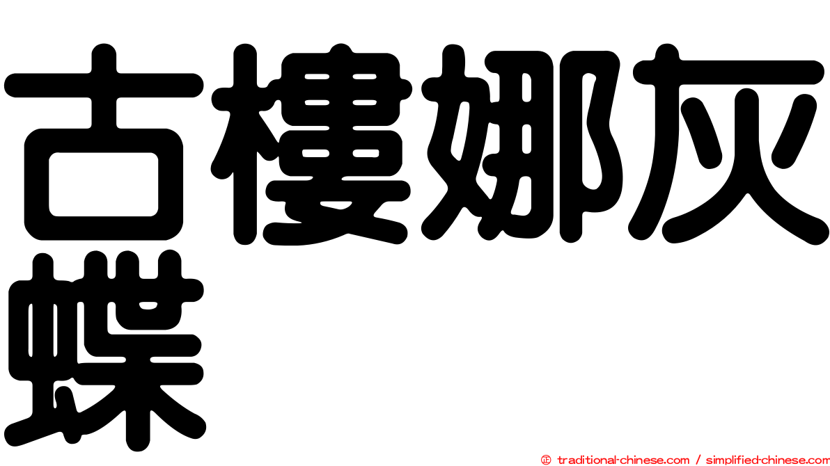 古樓娜灰蝶