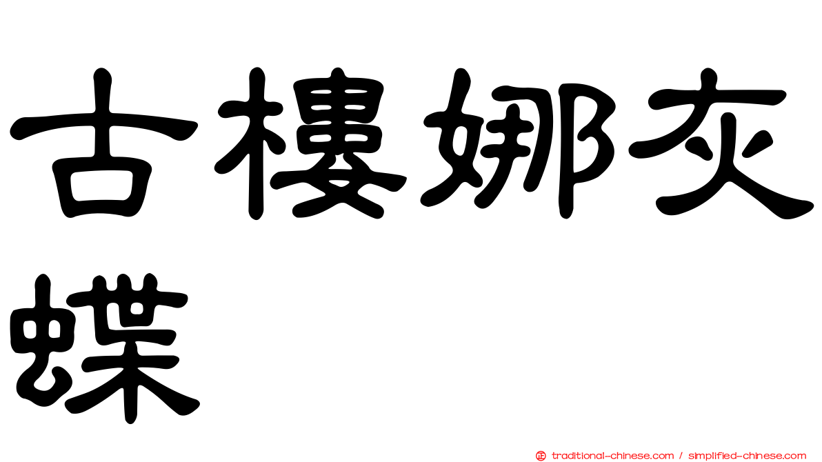 古樓娜灰蝶