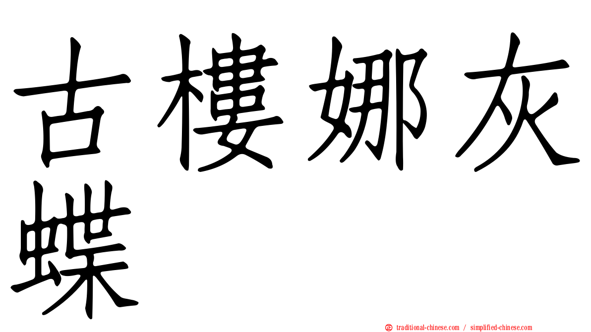 古樓娜灰蝶
