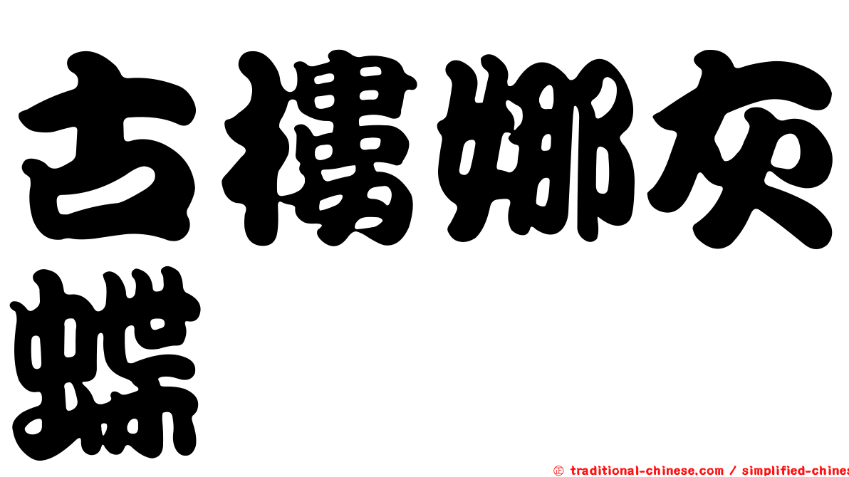 古樓娜灰蝶