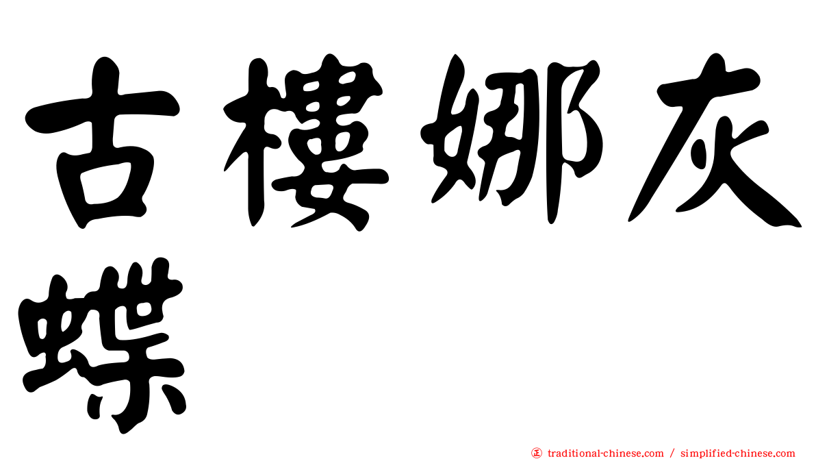 古樓娜灰蝶