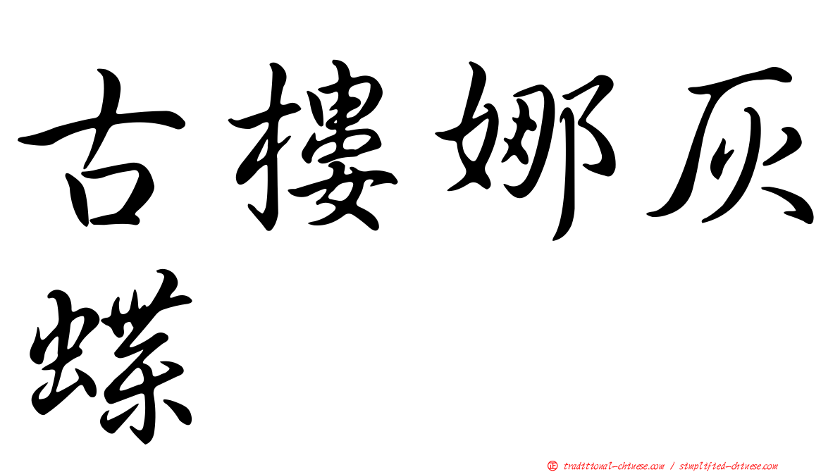 古樓娜灰蝶
