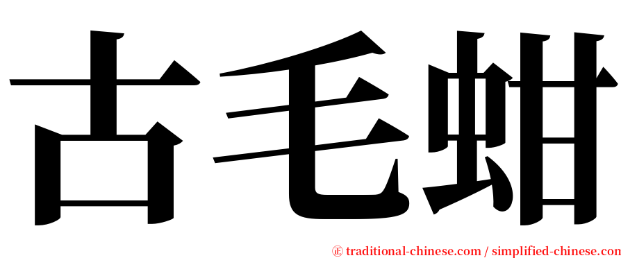 古毛蚶 serif font
