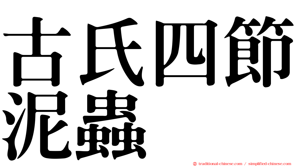 古氏四節泥蟲
