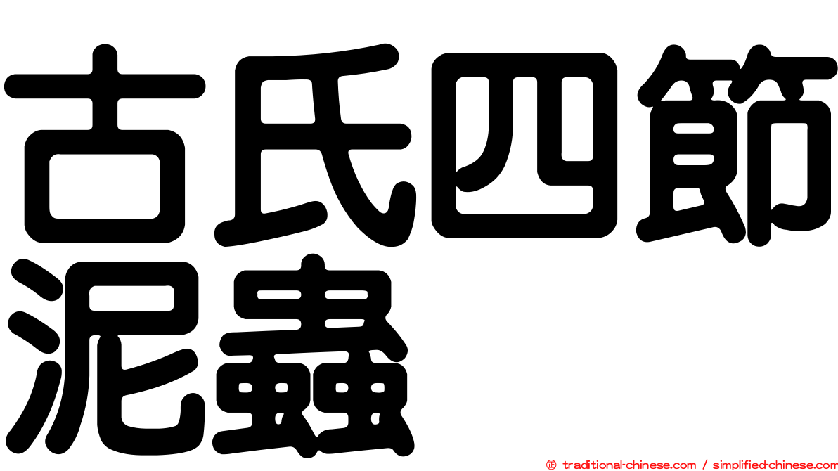 古氏四節泥蟲