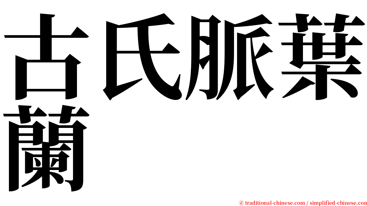 古氏脈葉蘭 serif font