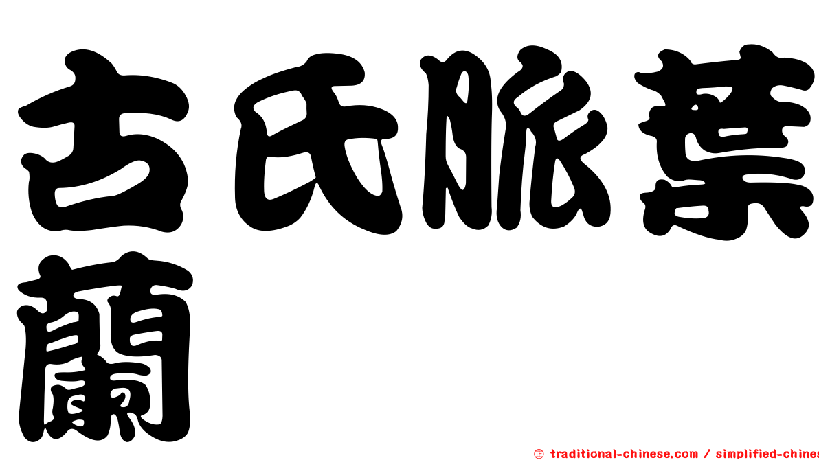 古氏脈葉蘭