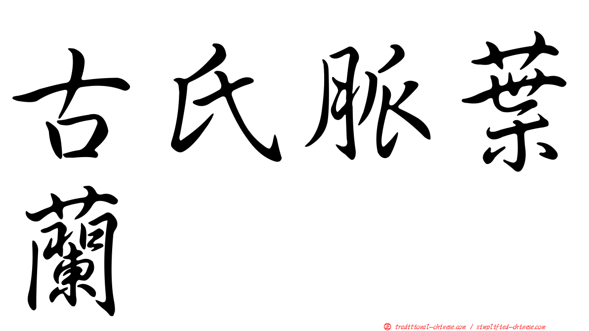 古氏脈葉蘭