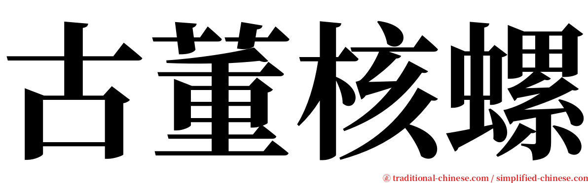 古董核螺 serif font