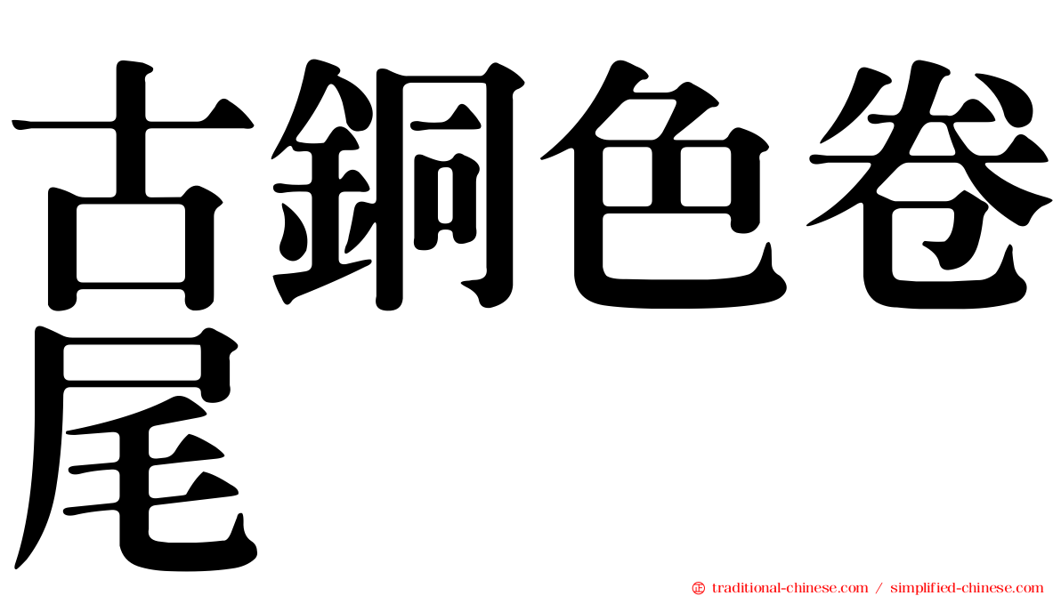 古銅色卷尾