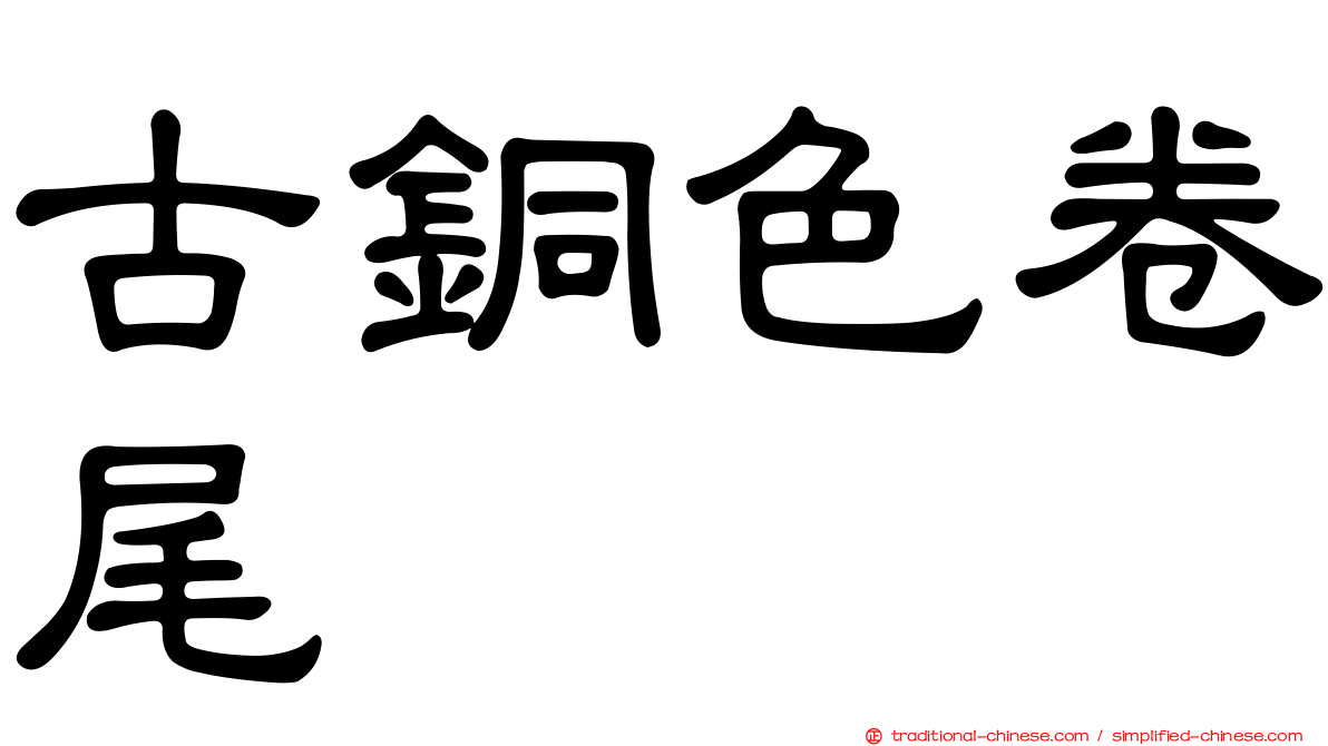 古銅色卷尾