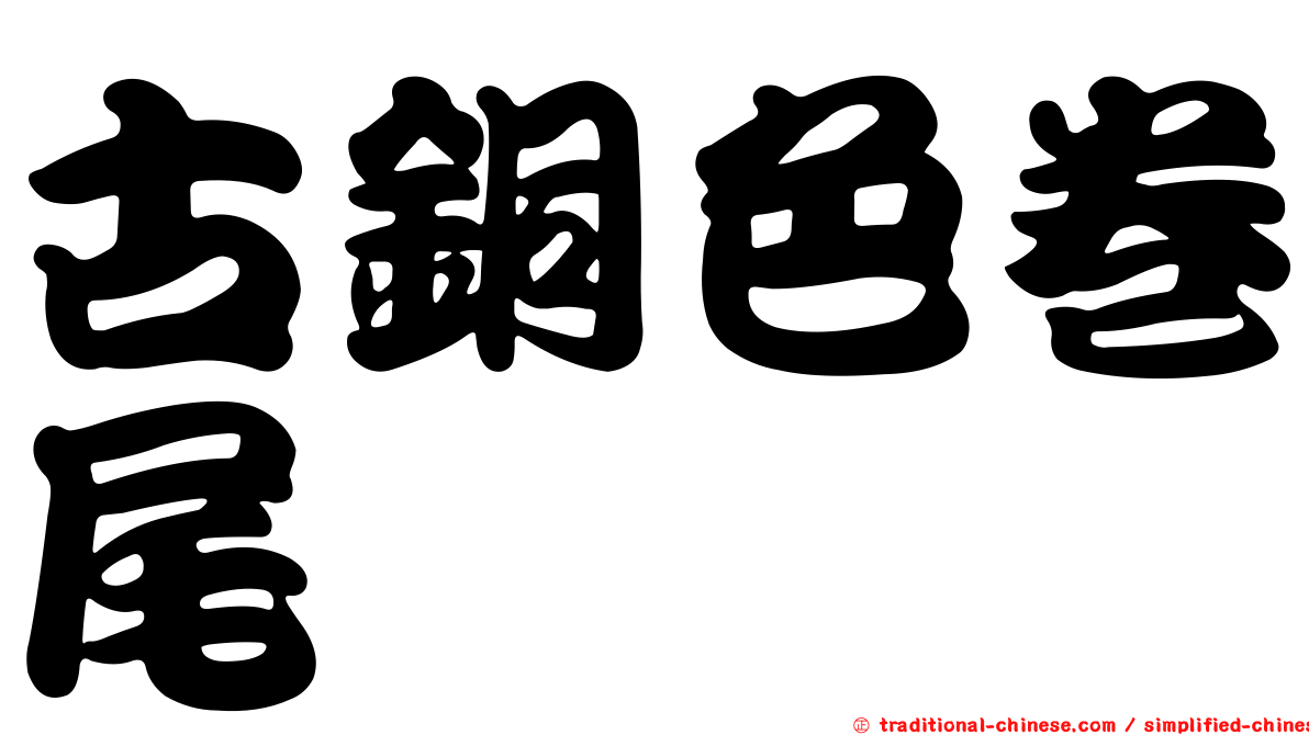 古銅色卷尾
