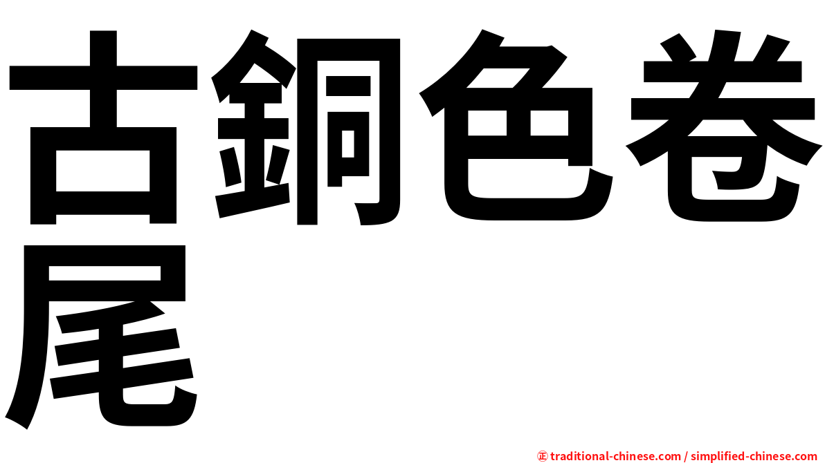 古銅色卷尾