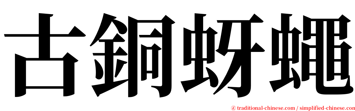古銅蚜蠅 serif font
