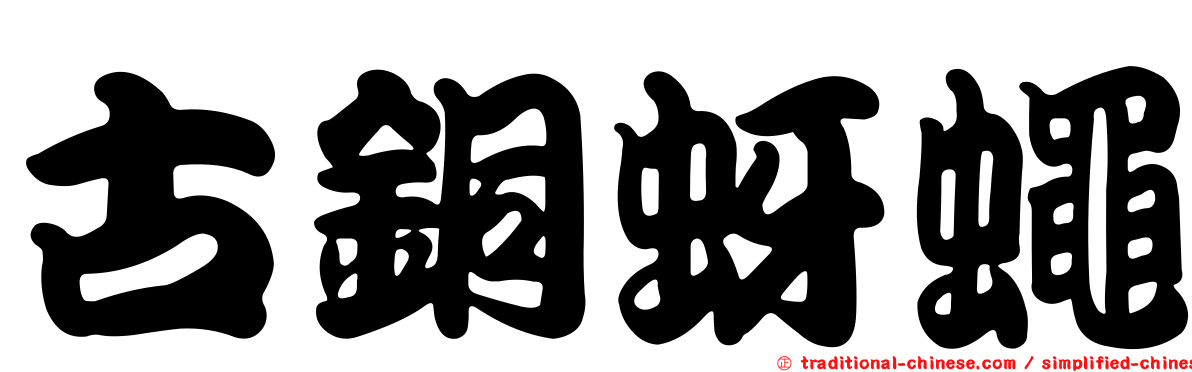 古銅蚜蠅