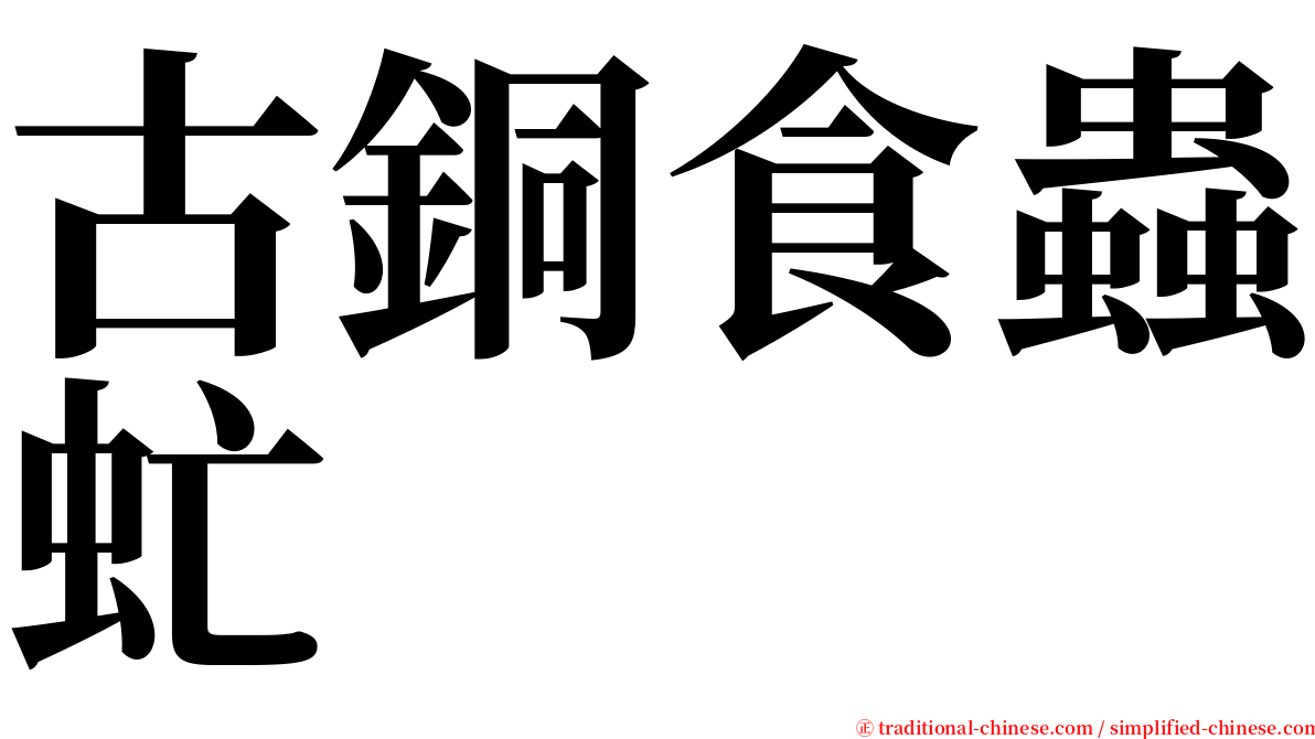 古銅食蟲虻 serif font