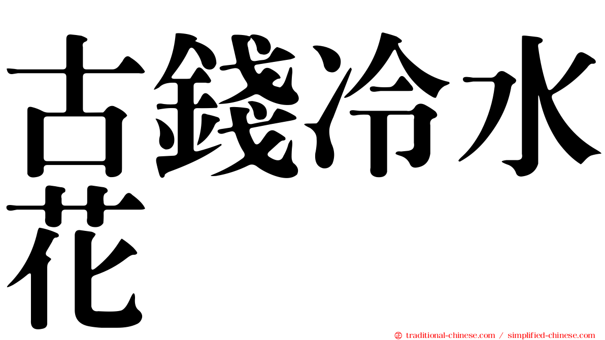 古錢冷水花
