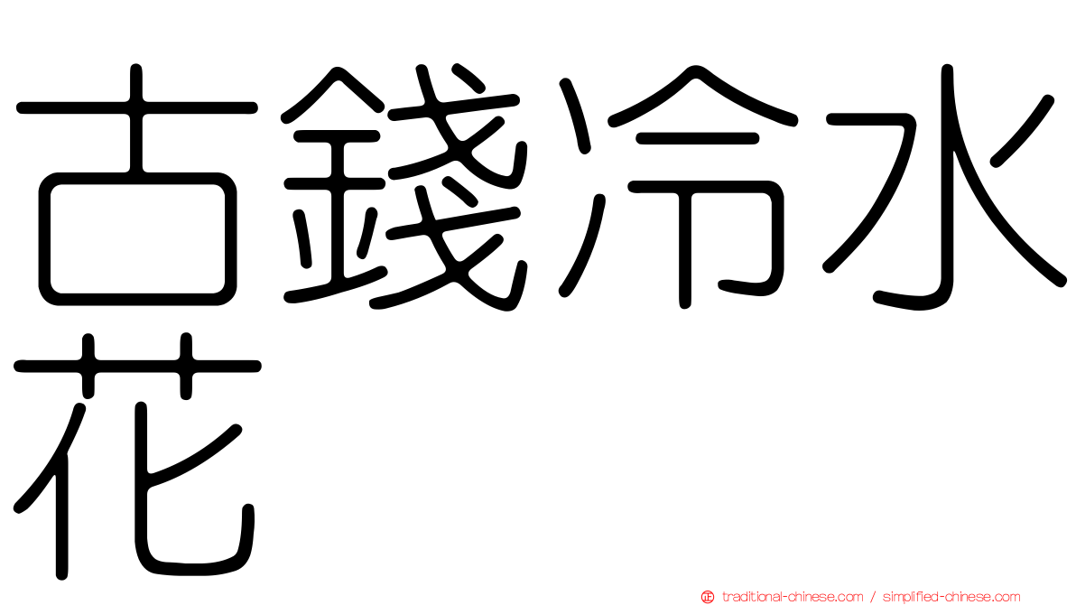 古錢冷水花