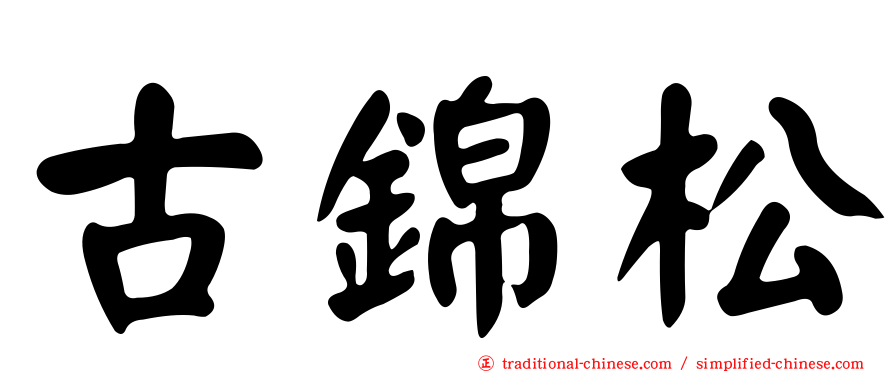 古錦松