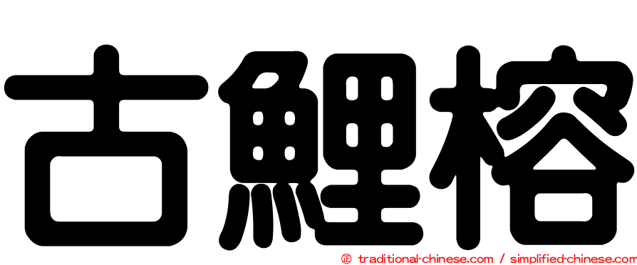 古鯉榕