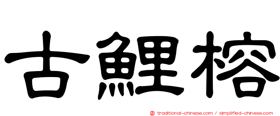 古鯉榕