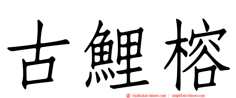 古鯉榕