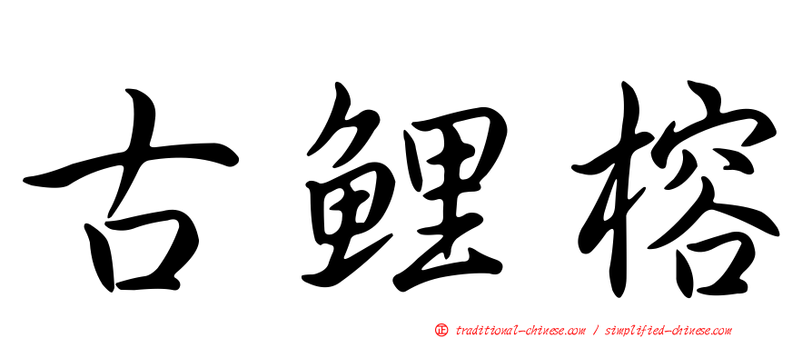 古鯉榕