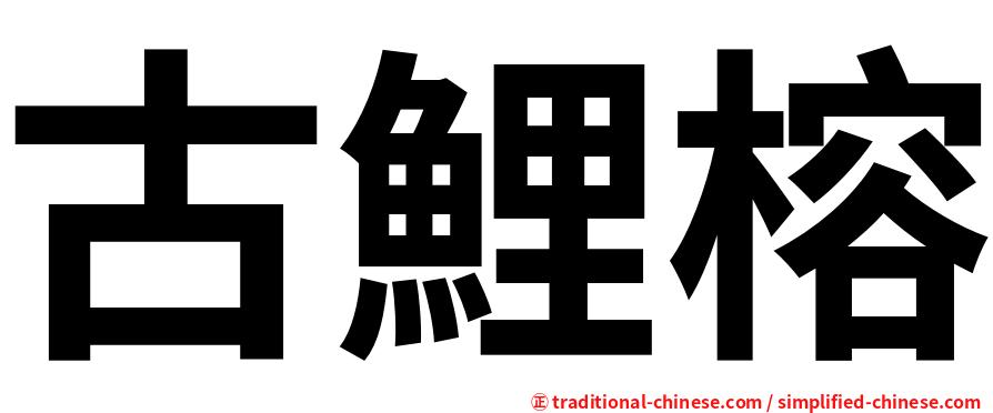 古鯉榕