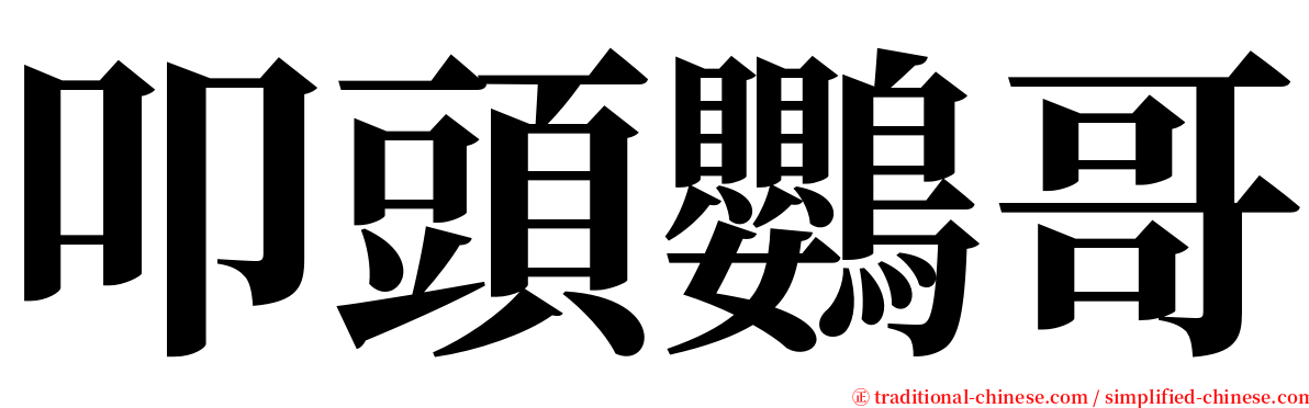 叩頭鸚哥 serif font