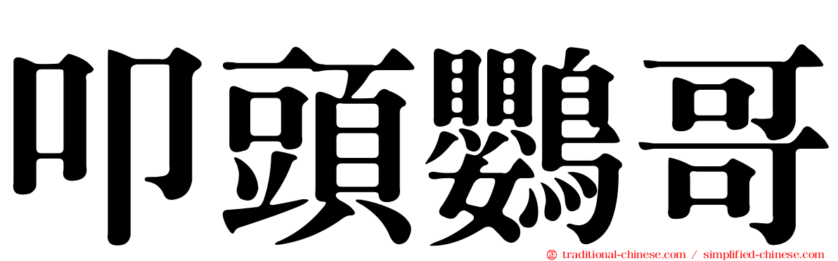 叩頭鸚哥