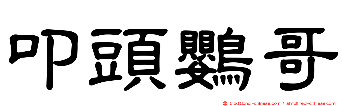叩頭鸚哥
