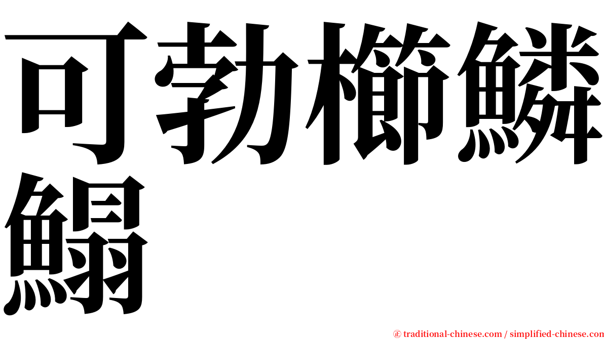 可勃櫛鱗鰨 serif font
