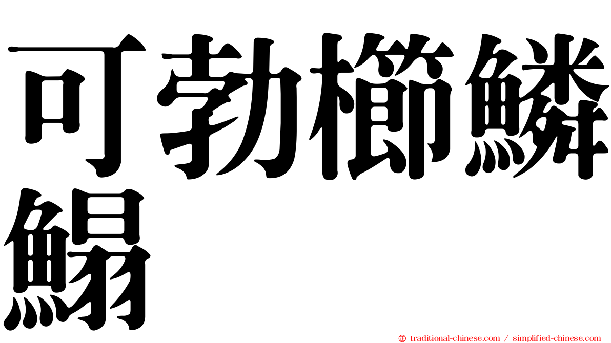 可勃櫛鱗鰨