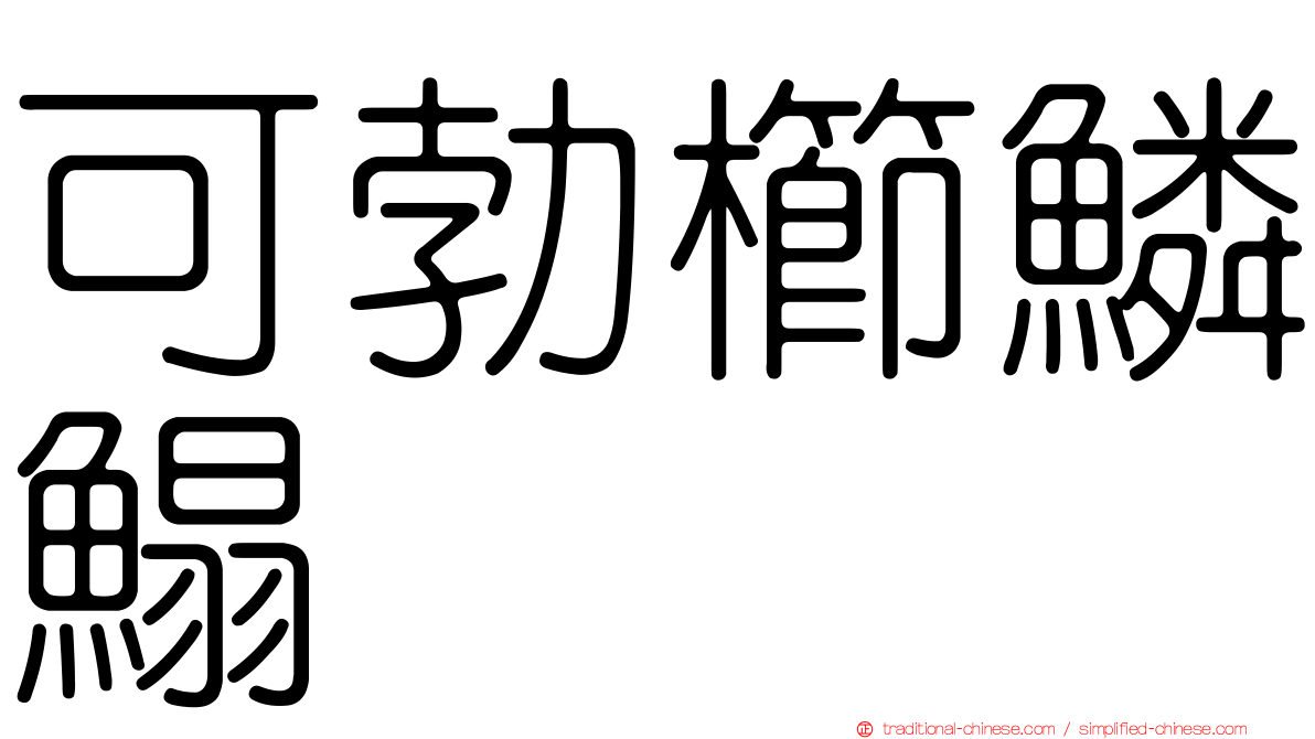 可勃櫛鱗鰨