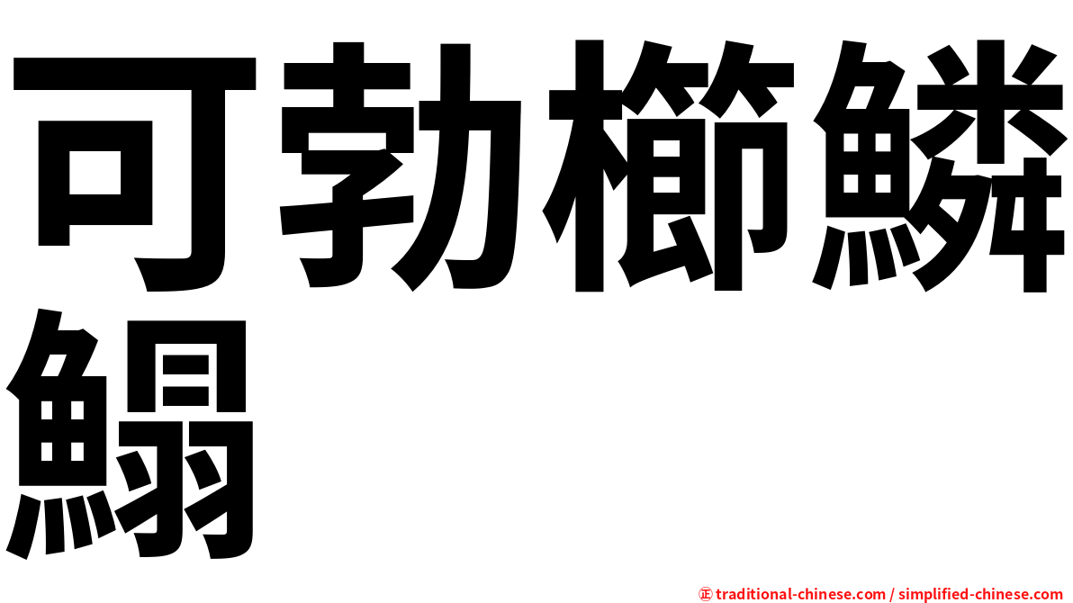 可勃櫛鱗鰨