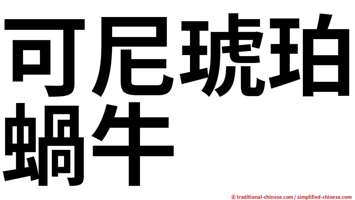 可尼琥珀蝸牛