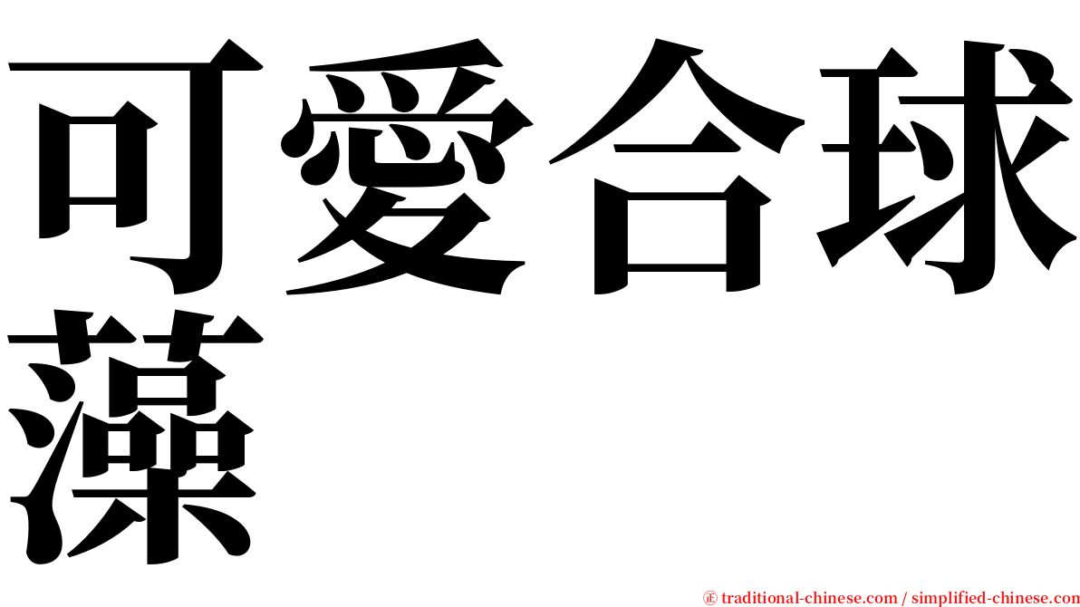 可愛合球藻 serif font
