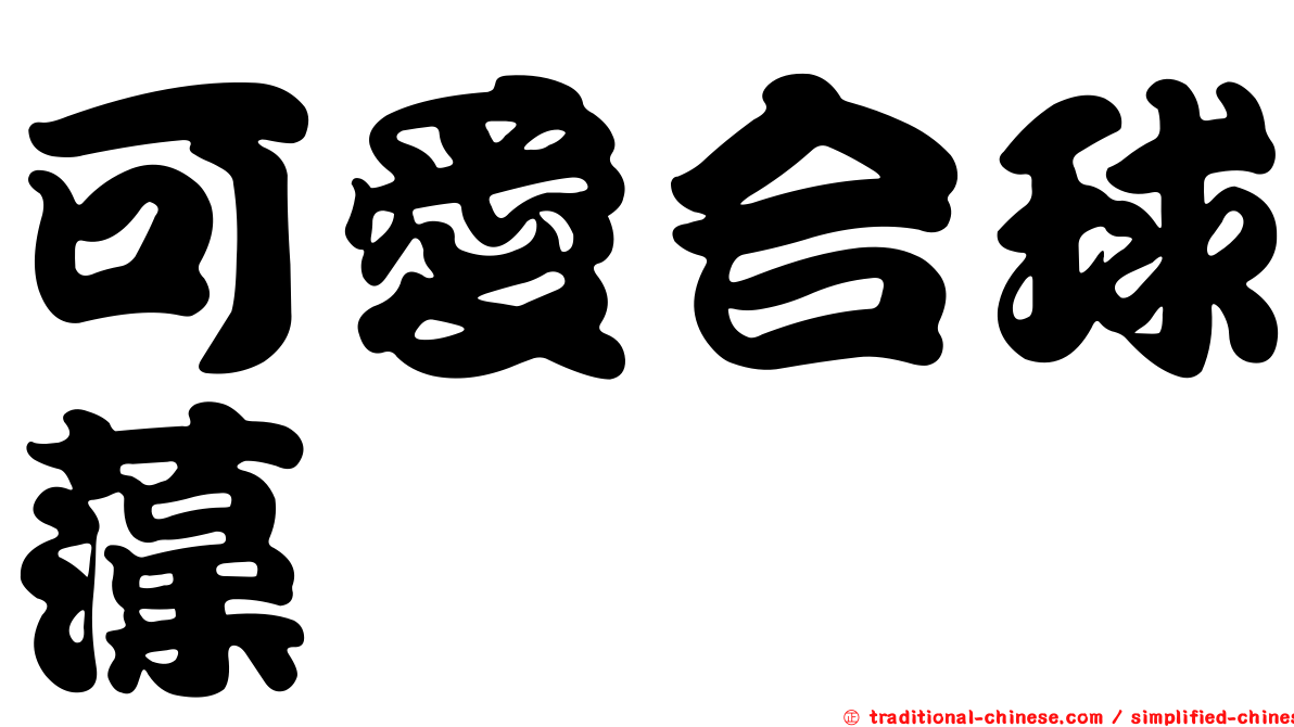 可愛合球藻
