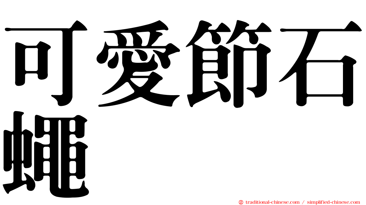 可愛節石蠅