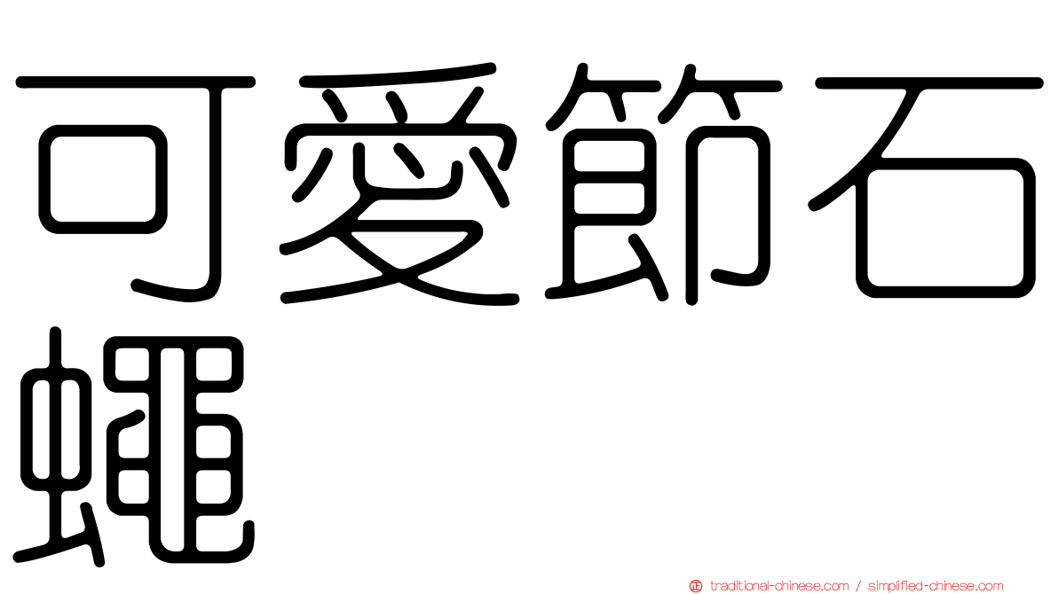 可愛節石蠅