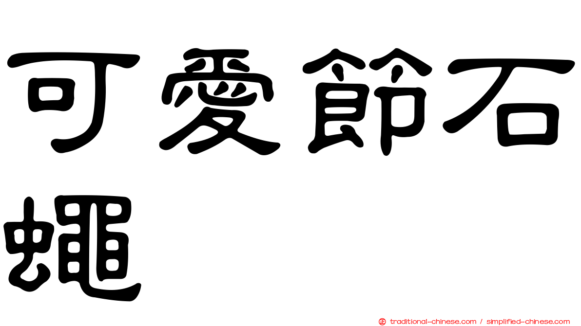 可愛節石蠅