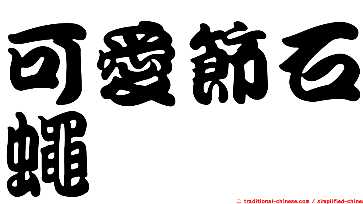 可愛節石蠅