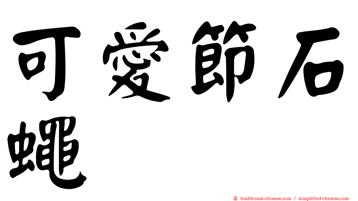 可愛節石蠅